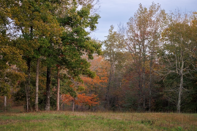 view of nature