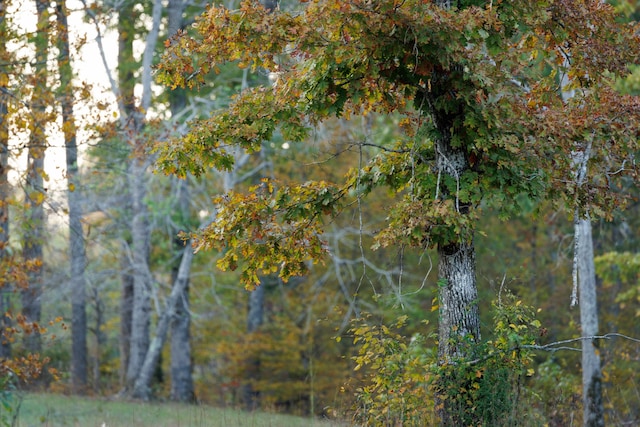 view of nature