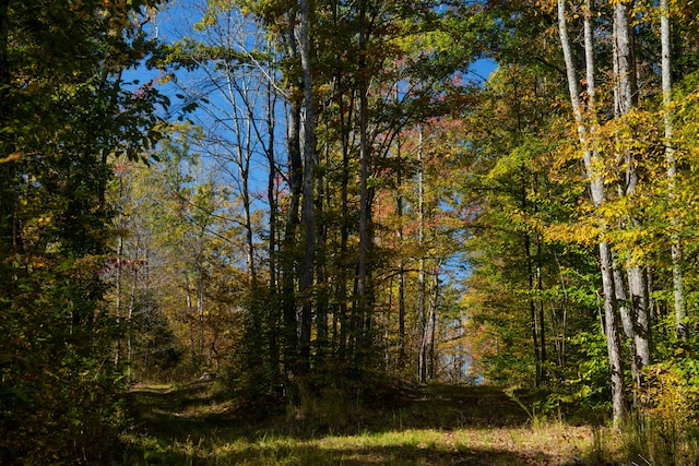 view of landscape