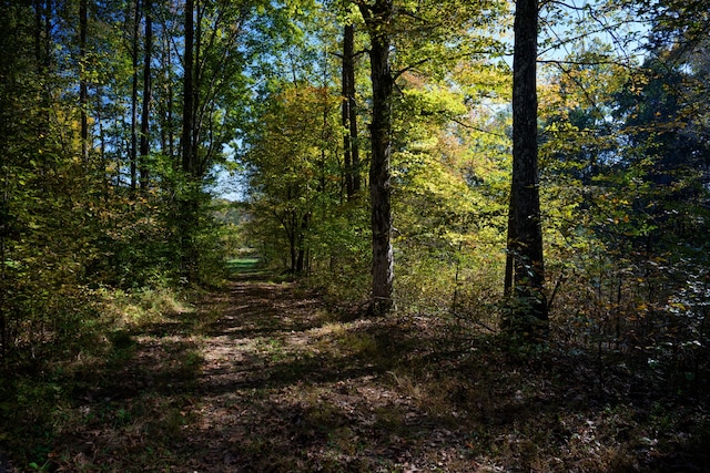 view of nature