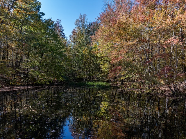 view of nature featuring a water view