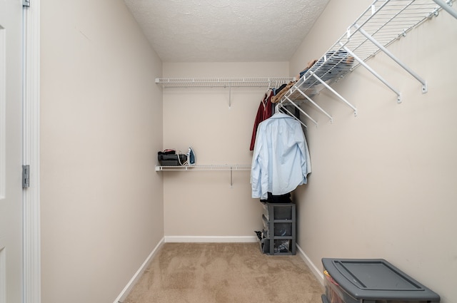 walk in closet with light colored carpet