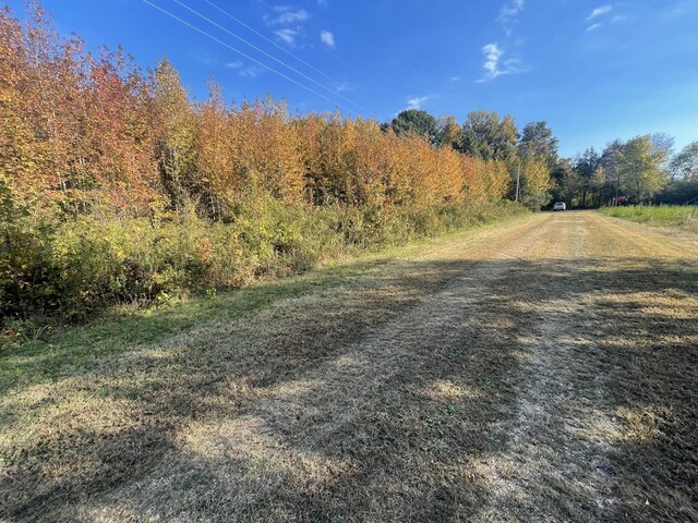 0 Dogwood Ln, Linden, TN 37096 - photo 7