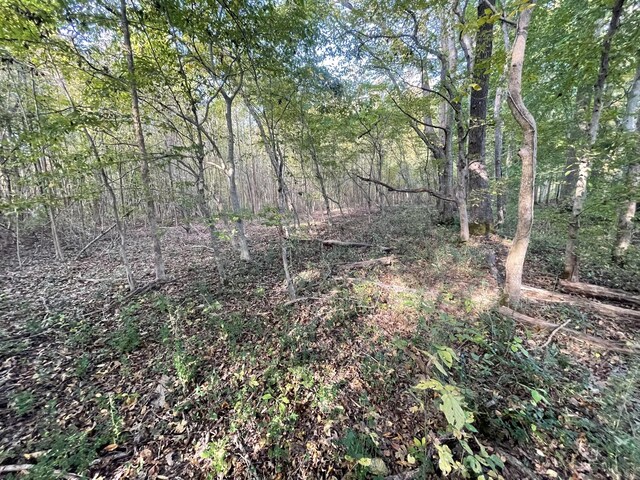 0 Dogwood Ln, Linden, TN 37096 - photo 8