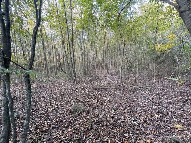 0 Dogwood Ln, Linden, TN 37096 - photo 5