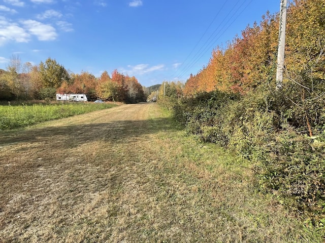 0 Dogwood Ln, Linden, TN 37096 - photo 2