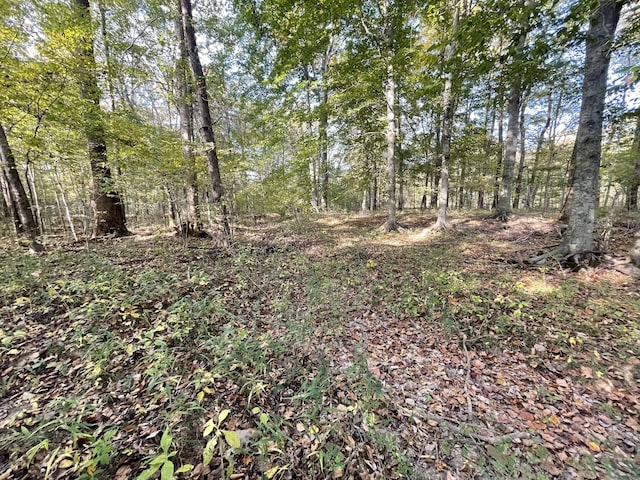0 Dogwood Ln, Linden, TN 37096 - photo 3