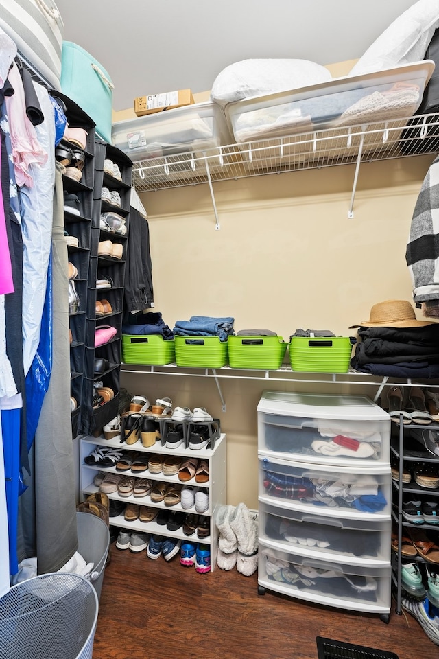 walk in closet featuring hardwood / wood-style floors