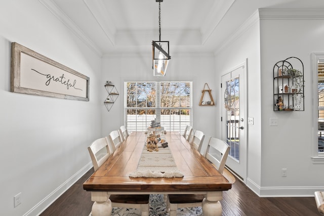 dining space with ornamental molding, a tray ceiling, and dark hardwood / wood-style flooring