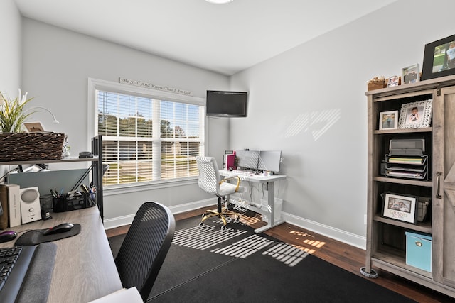 office area featuring dark hardwood / wood-style flooring