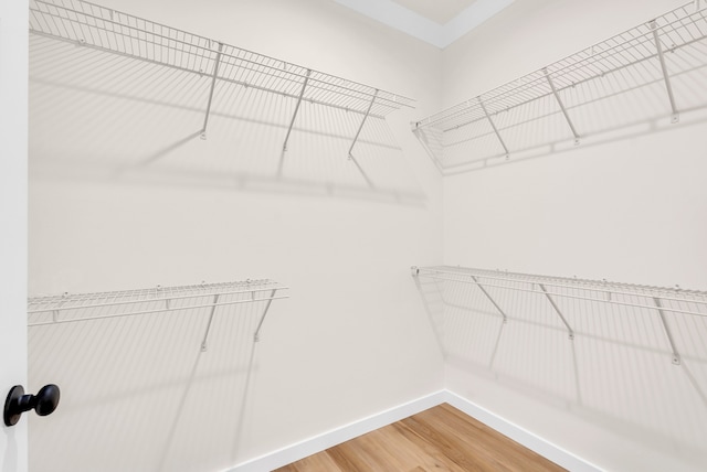 walk in closet with hardwood / wood-style floors