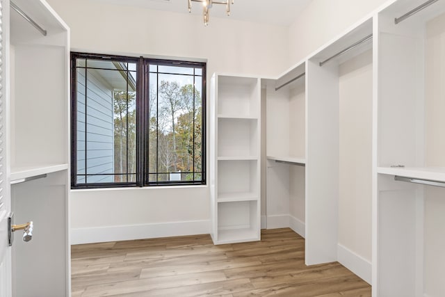 walk in closet featuring light wood-type flooring