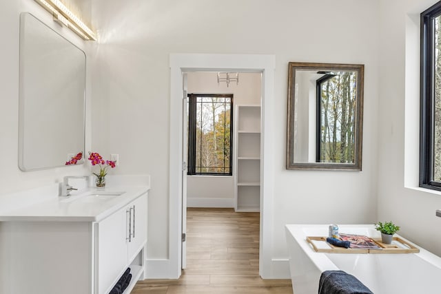 bathroom with a tub, a wealth of natural light, hardwood / wood-style floors, and vanity