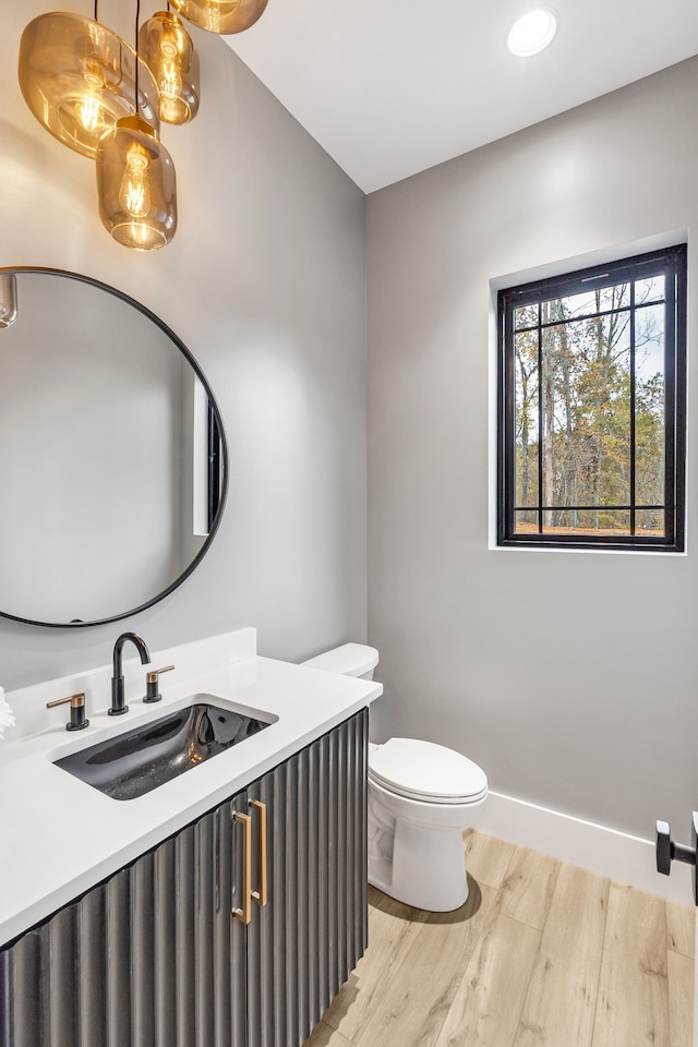 bathroom featuring vanity, wood-type flooring, and toilet