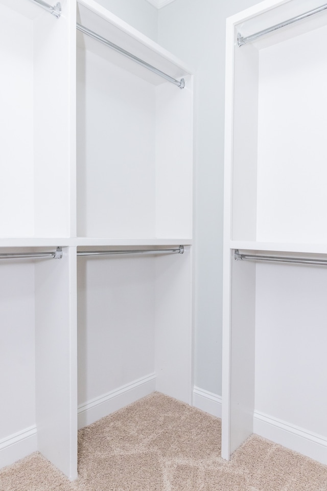 spacious closet featuring light carpet