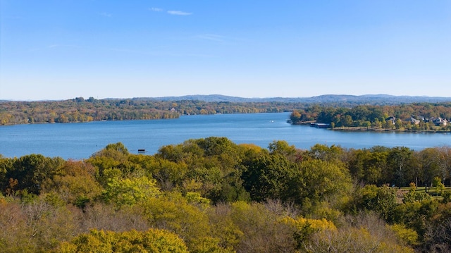 property view of water