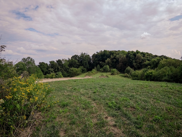 view of landscape featuring a rural view