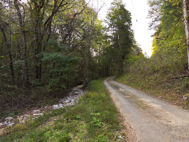 view of road