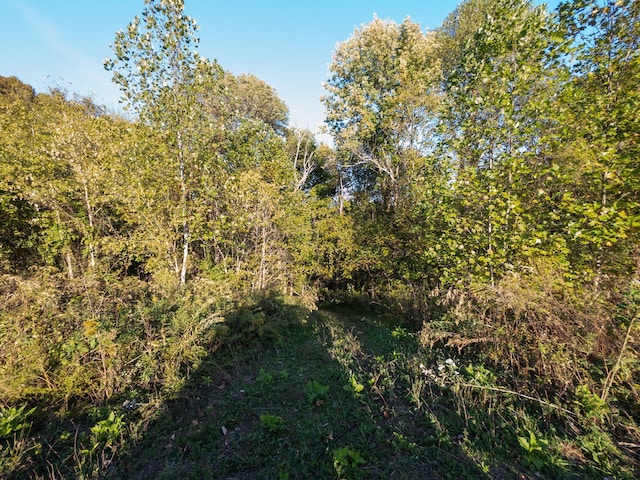 view of nature