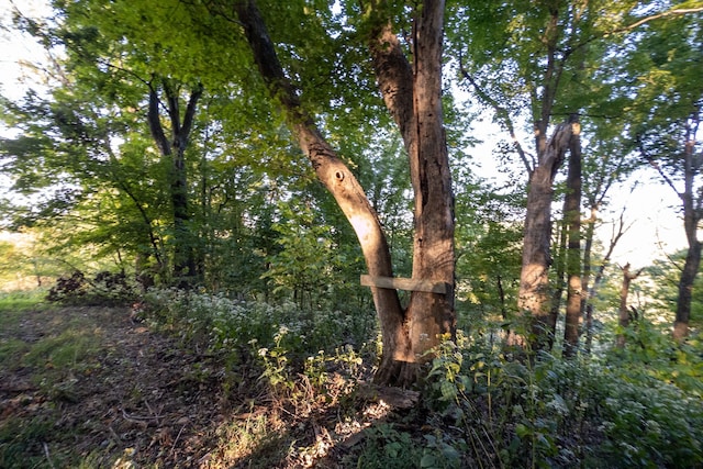 view of landscape