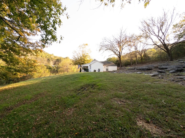 view of yard