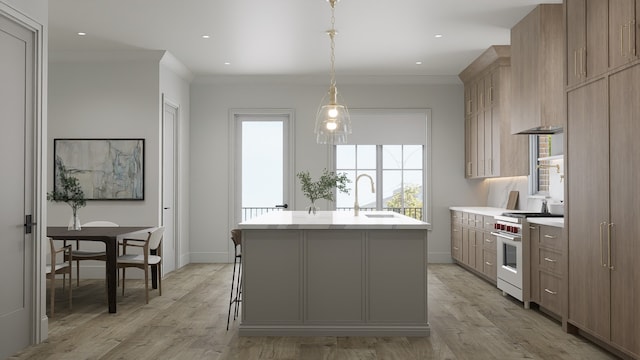 kitchen featuring high end stainless steel range oven, a kitchen island with sink, sink, light hardwood / wood-style floors, and decorative light fixtures