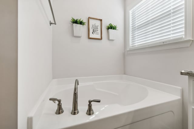 bathroom with a bathing tub