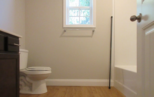 bathroom featuring vanity, hardwood / wood-style floors, and toilet