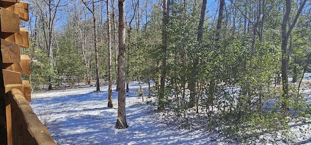 view of yard layered in snow