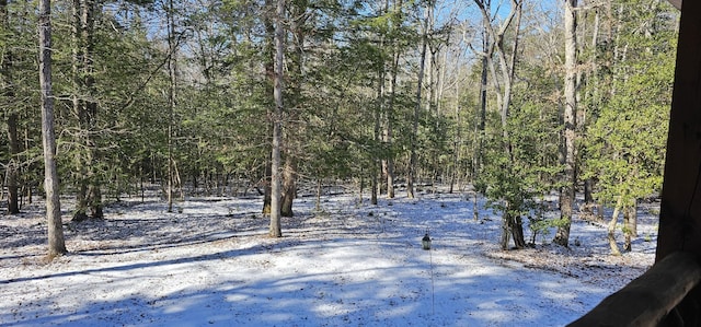 view of snowy view