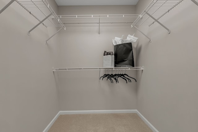 spacious closet featuring carpet flooring