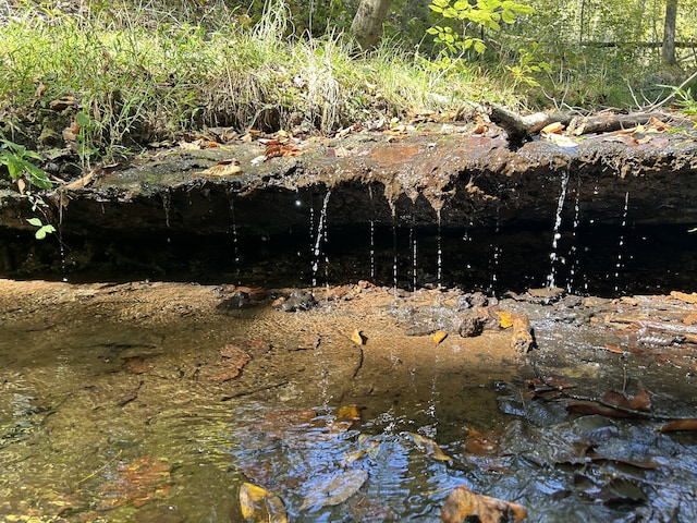 view of nature