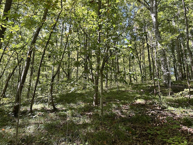 view of landscape with a wooded view