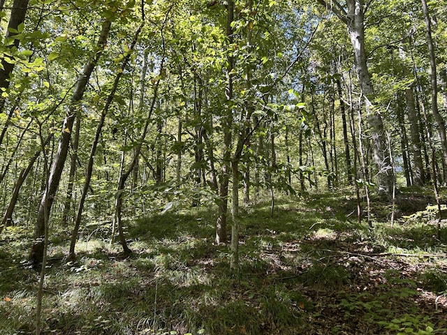 view of nature featuring a wooded view