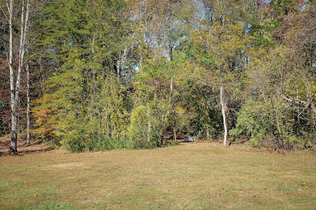 view of yard featuring a wooded view