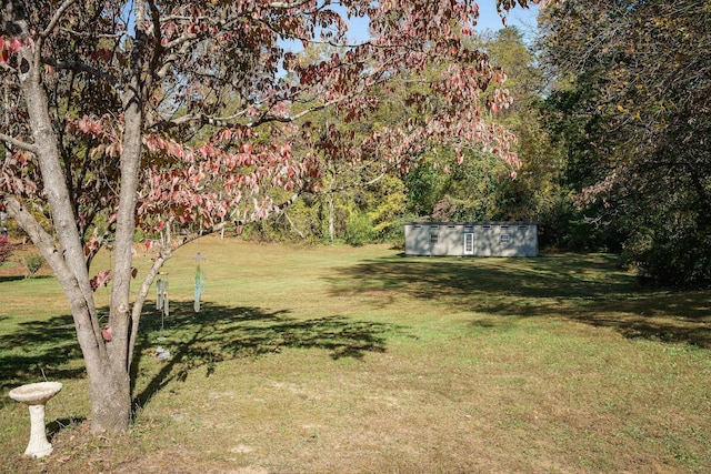 view of yard with an outdoor structure and a storage unit