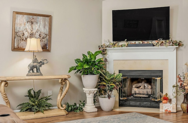 interior space with a glass covered fireplace and wood finished floors