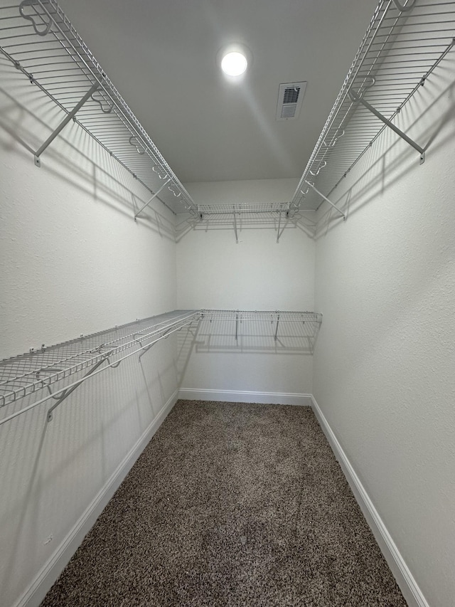 walk in closet with carpet and visible vents