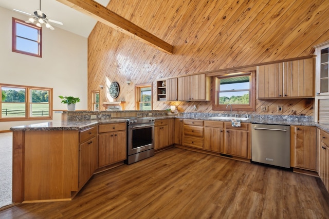 kitchen featuring high vaulted ceiling, dark hardwood / wood-style floors, stainless steel appliances, and sink