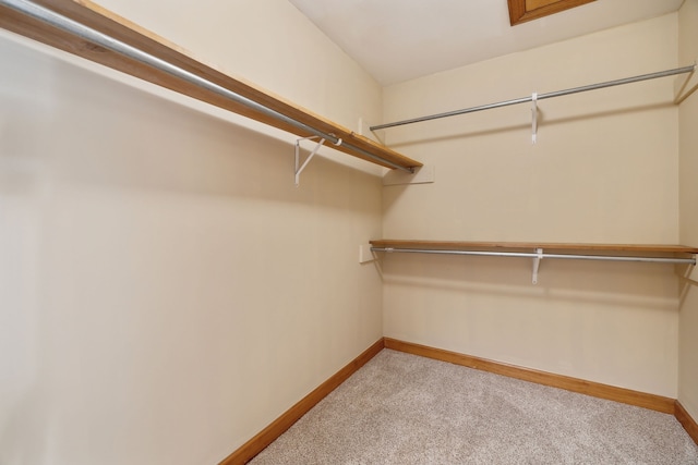 walk in closet with light carpet