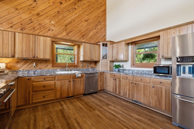 kitchen featuring plenty of natural light, wooden walls, stainless steel appliances, and dark hardwood / wood-style flooring