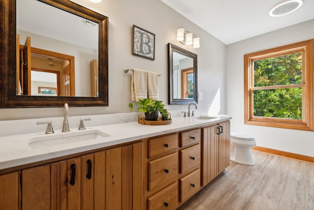 bathroom featuring vanity, toilet, and wood-type flooring