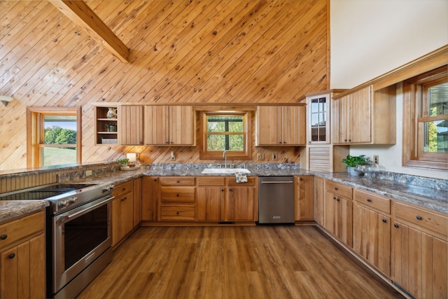 kitchen featuring sink, stainless steel appliances, high vaulted ceiling, and dark hardwood / wood-style flooring