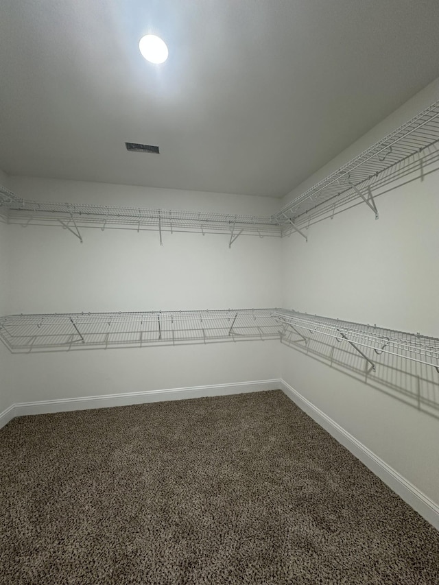 walk in closet with carpet flooring