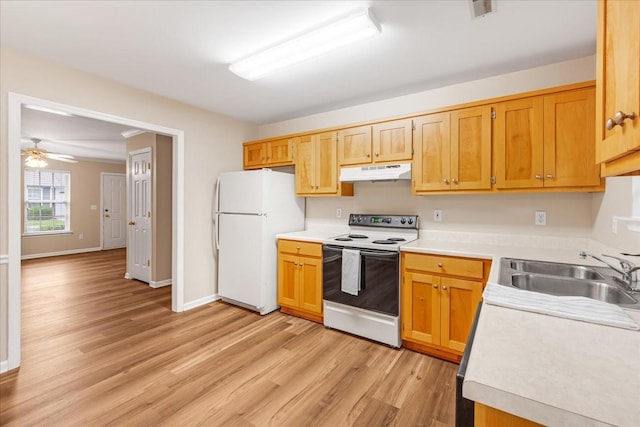 105 Middleton Ct, Tullahoma, TN 37388 - kitchen with electric range oven, a sink, freestanding refrigerator, light wood-style floors, and under cabinet range hood