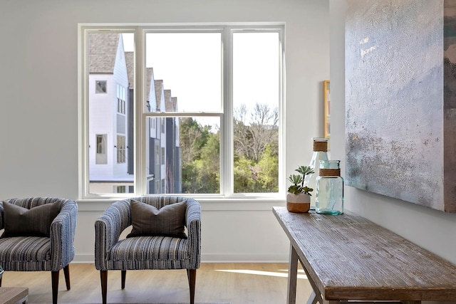 living area featuring a healthy amount of sunlight and wood-type flooring