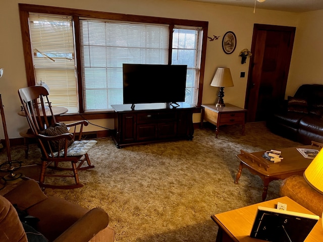 living room with carpet floors