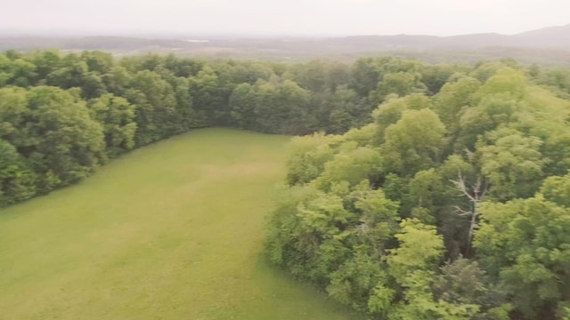 775 Railroad Rd, Wartrace, TN 37183 - aerial view featuring a wooded view