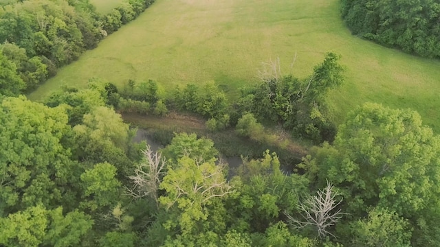 775 Railroad Rd, Wartrace, TN 37183 - drone / aerial view