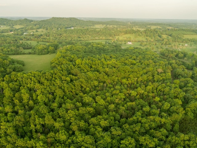 775 Railroad Rd, Wartrace, TN 37183 - birds eye view of property featuring a wooded view